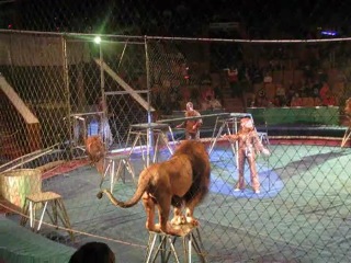 don't take your teens to the circus horror